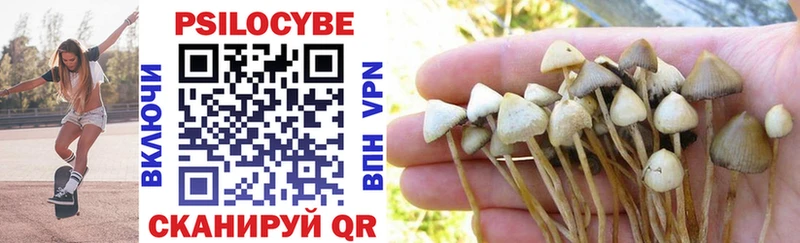 Псилоцибиновые грибы Psilocybine cubensis  Райчихинск 